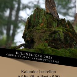 kalender eulenglueck